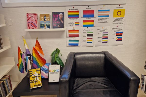 Bilde av flagg knyttett til LHBTQ+ og bøker med tema knyttet til pride
