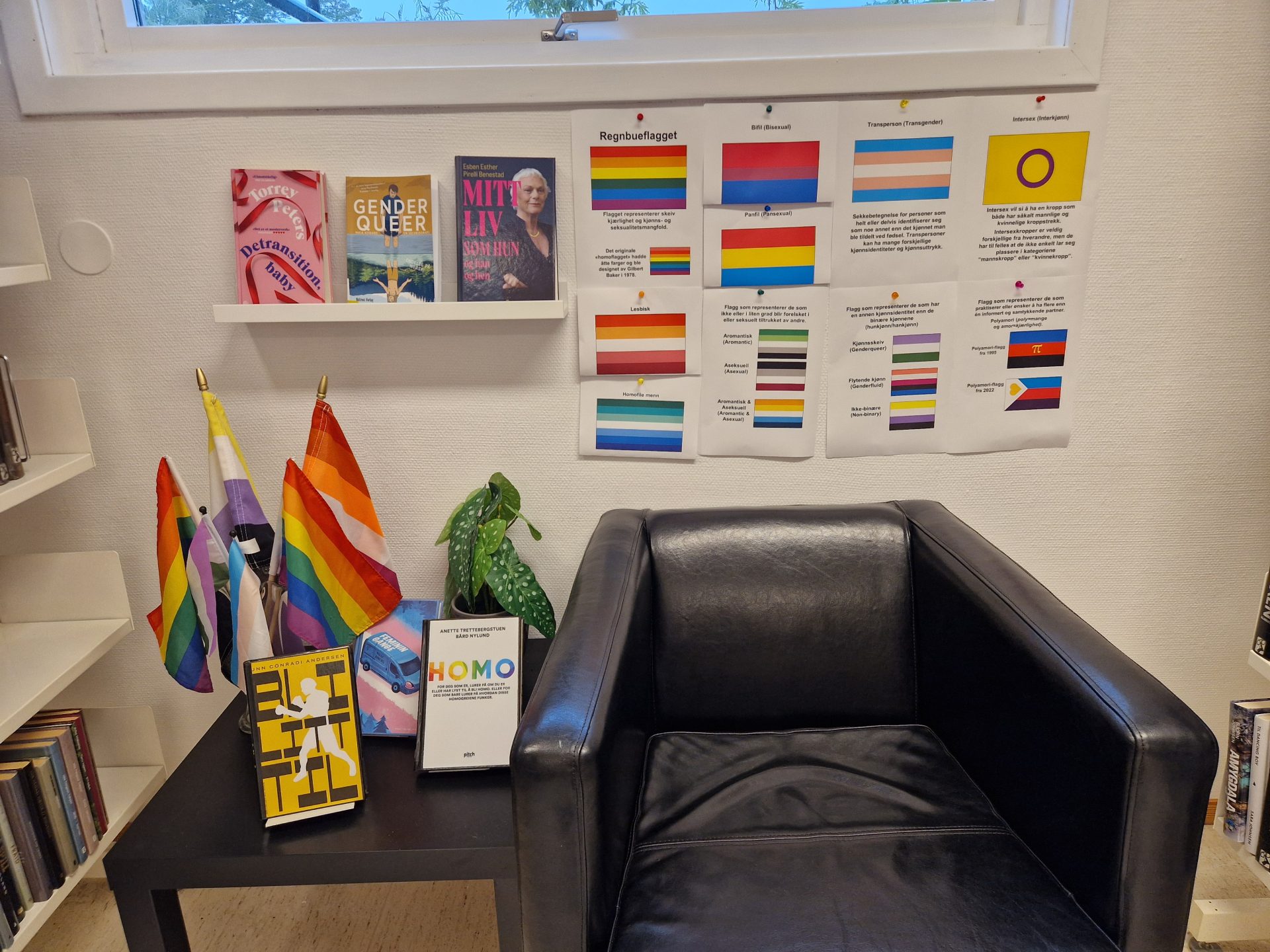 Bilde av flagg knyttett til LHBTQ+ og bøker med tema knyttet til pride